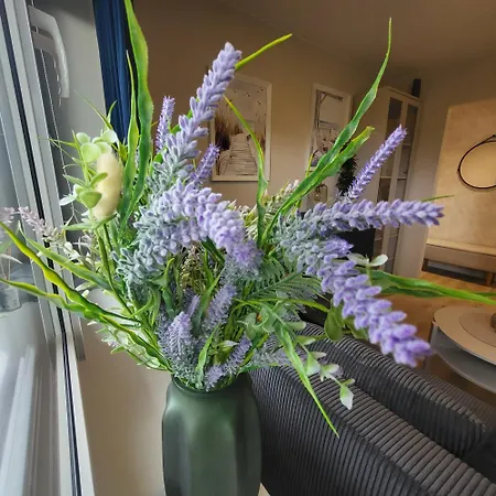 Komfortowy Solemar Appartement
